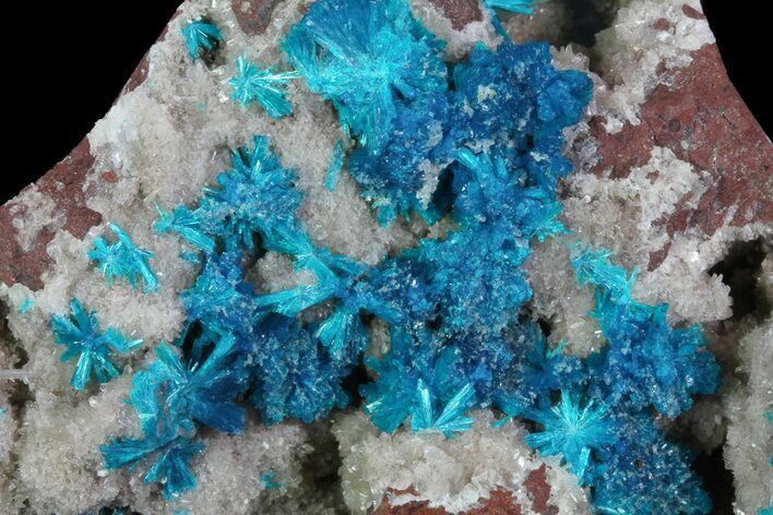 Vibrant Blue Cavansite Clusters on Stilbite - India #64801